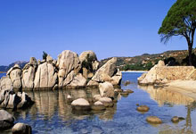 2024属龙清新脱俗气质的女孩名字(精选15个)